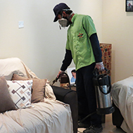 home pest control service in UAE