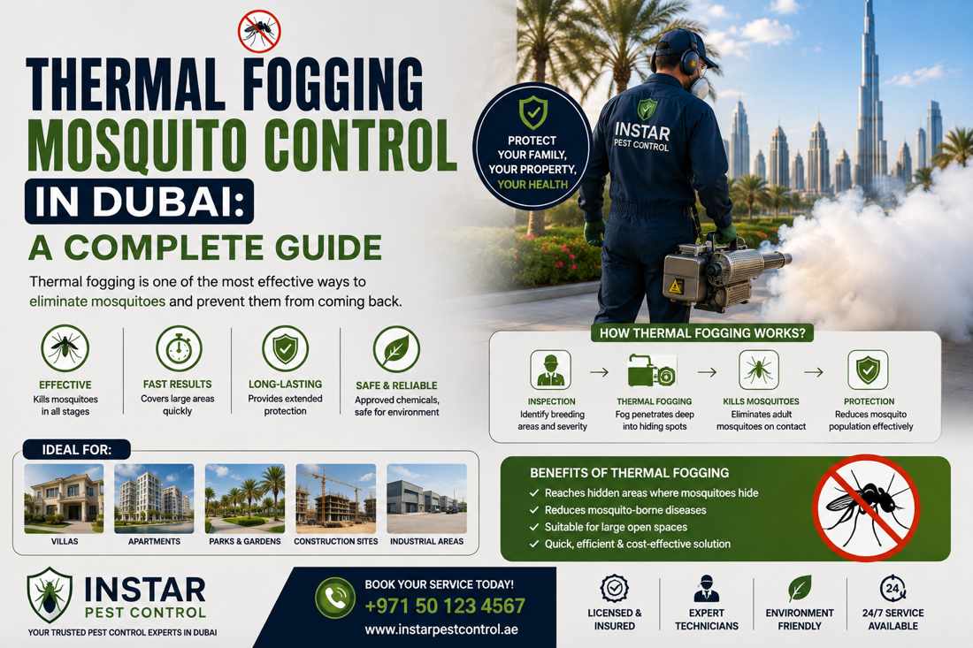 Thermal Fogging Mosquito Control in Dubai: A Complete Guide